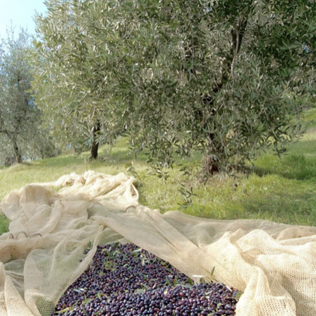 Paul Mags Aussteller, Per Amici