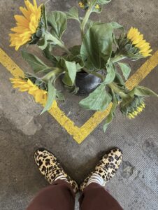 Villa Paul Kollektionsbild FS26 Leopard Loafers, Sonnenblumen